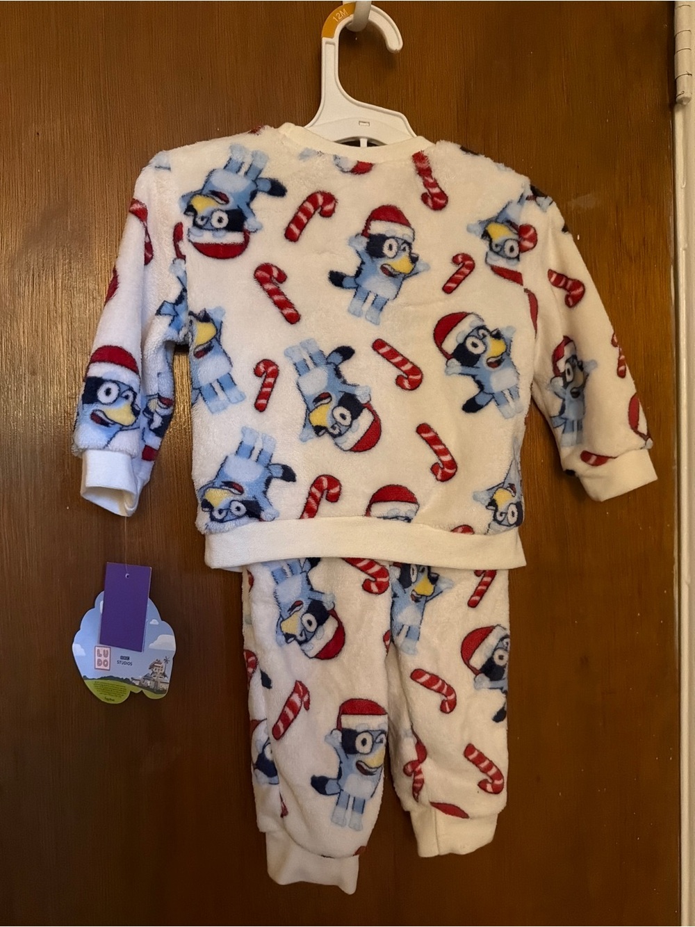 Kids Holiday Bluey Fleece Pajama Set - White
